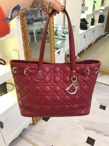 Dior Bag 003